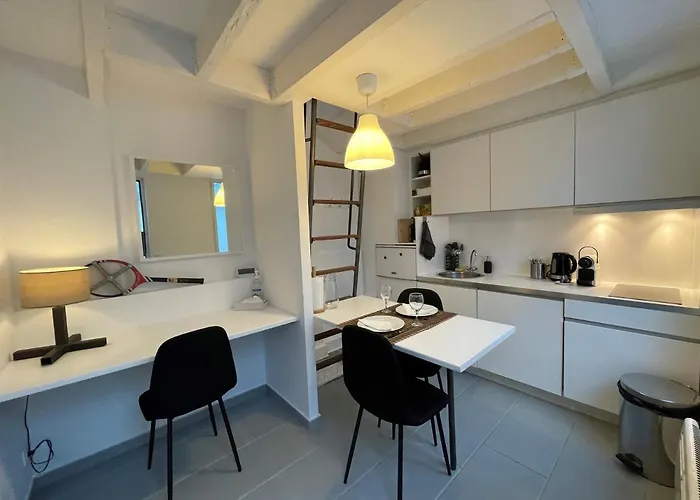 Apartment Maison Climatisee Avec Jardin *